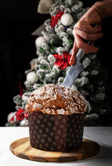 Panettone - Pastry chef cuts a slice of Panettone, hand and knife in the foreground and Christmas tree in the background. Typical Italian Christmas cake made with eggs, fruit and butter
