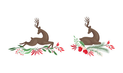 Graceful deers with tree branches, flowers and holly berries set. Christmas holidays design element cartoon vector illustration