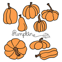 Pumpkin icon vector illustration set and handdrawn lettering. Autumn Halloween or Thanksgiving pumpkin symbol in flat design, simple, outline silhouette isolated on white background