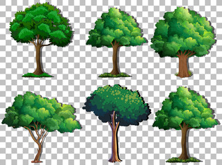 Fototapeta premium Set of variety trees on transparent background