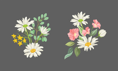 Bouquet of wildflowers set. Wild blooming meadow flowers bunches, decorative floral design vector illustration
