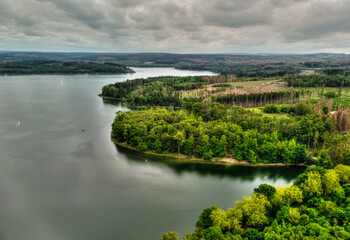 Fototapeta premium view of the river in the forest