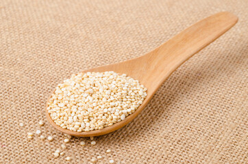 Raw, whole, unprocessed quinoa seed in wooden spoon.