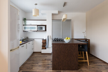 Interior of kitchen in contemporary apartment