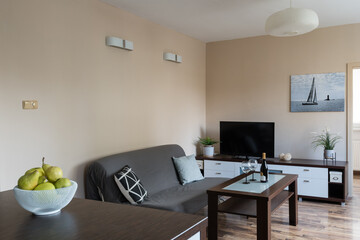 Interior of living room in contemporary apartment