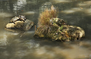 University Park in Hong Kong. China
