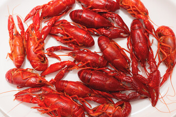 A pile of tasty boiled crawfish on a round white plate on a white background. Top view,closeup, copy space.