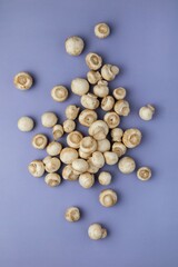 Raw mushrooms champignon on violet, purple background. Top view. Minimalism.