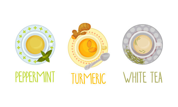Hot aromatic tea set. Top view of teacup with peppermint, turmeric, white tea vector illustration