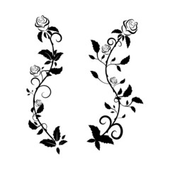 Beautiful patterns with monograms and roses