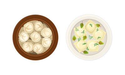 Set of dumplings on plates. Pierogi and pelmeni made of dough stuffed with meat or vegetables vector illustration