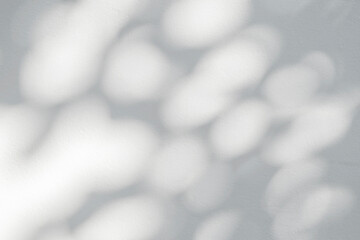 Abstract  shadow and light of gray natural leaves background on white wall.Shadow overlay effect for foliage mockup, banner graphic layout