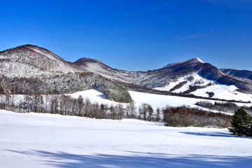 Beautiful winter landscape in mountains with snow covered trees.