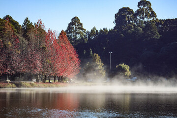 paisagem de outono com folhas coloridas e neblina no Lago são Bernardo em São Francisco de paula, Rio Grande do Sul