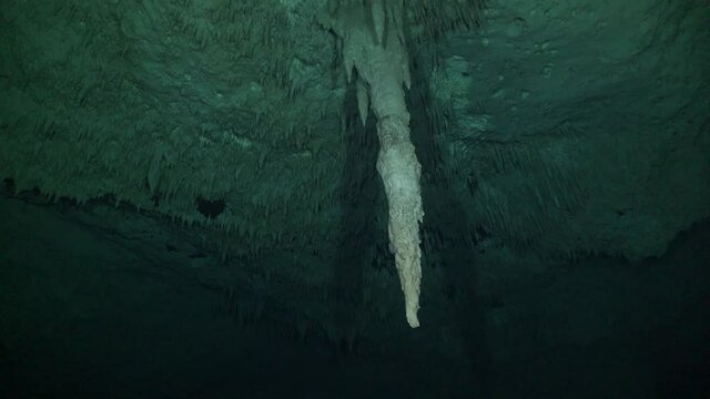 Stalactite hanging from cave ceiling in Cenote The Pit Yucatan Mexico