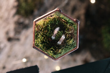 Wedding box with moss and rings
