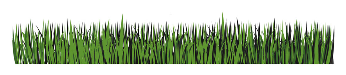Green grass horizontal banner. Green grass. Grass silhouette.