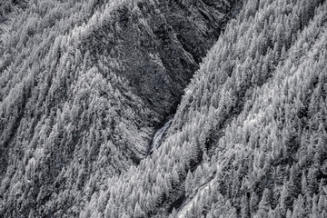 Die Alpen Österreichs - Impression