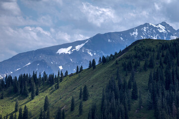 Die Alpen Österreichs - Impression