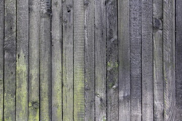 Old dry rural wooden fence with a many vertical gray boards vintage background texture