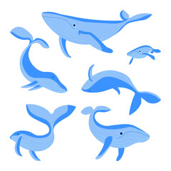 Set of blue whales isolated on white background