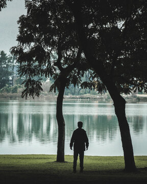 silhueta de homem entre &aacute;rvores no Parque Birigui, Curitiba, Paran&aacute; 
