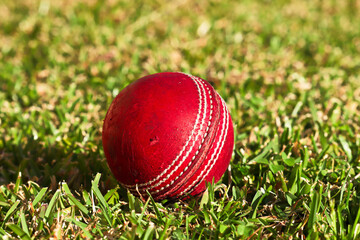 Worn red leather cricket ball on backyard lawn in Australia at sunset