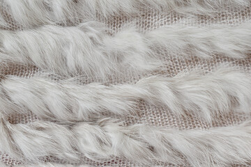 white fur texture close-up abstract fur background