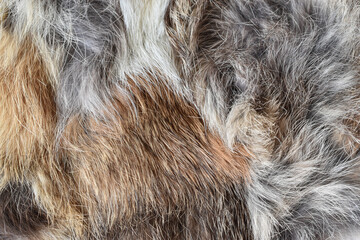 Beautiful luxury gray and brown mixed fur background texture