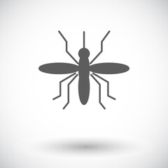 Mosquito