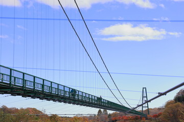 秋のもみじ谷大吊り橋の風景