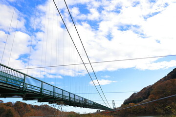 秋のもみじ谷大吊り橋の風景