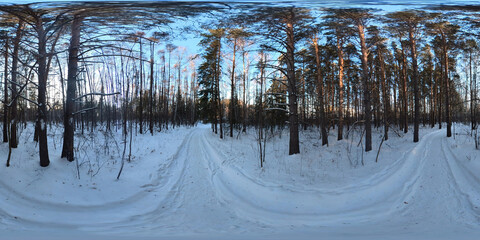 Winter  forest