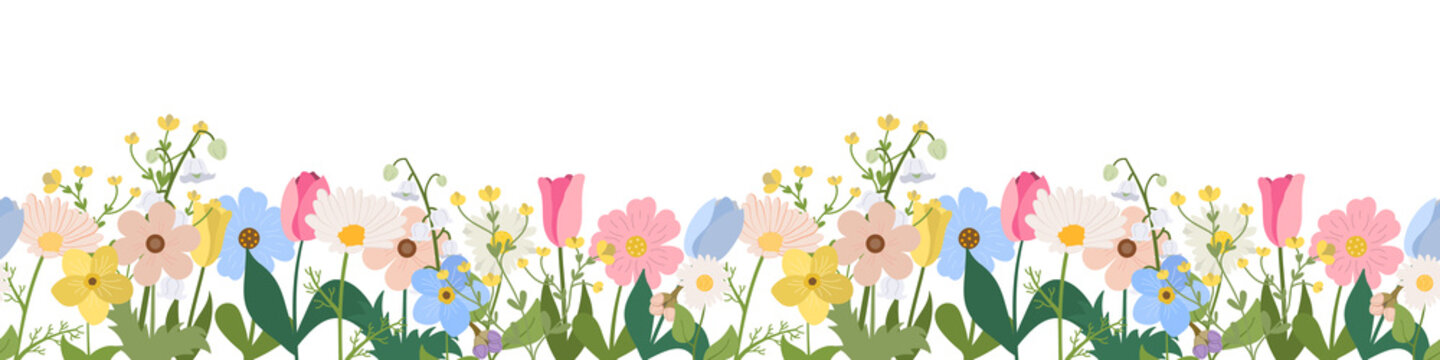 Spring or summer seamless horizontal border with blooming flowers on white background. Multicolored garden flowers in a row. Banner with floral pattern.