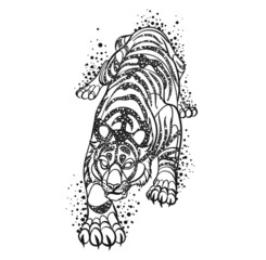 illustration of a tiger