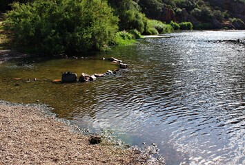 Italy, Sardinia Island: Foreshortening of river of the thermal water of Villadoria Coghinas.