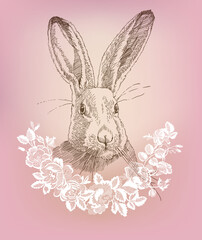 portrait of a rabbit in a lace frame