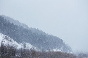 Picturesque view of mountain range covered with dense woods during snowstorm in winter time