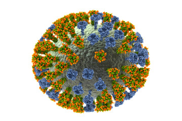 Flu virus, close-up view, 3D illustration