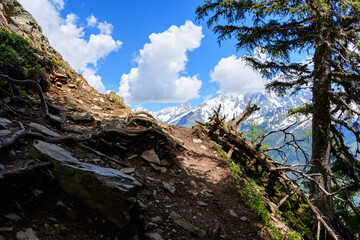 A hiking trail facing the Mont Blanc massif in the Mont Blanc massif in Europe, France, the Alps, towards Chamonix, in summer, on a sunny day.