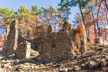 The fine Greco-Roman remains of the town of Seleucia (also known as Seleukia) in the vicinity of...