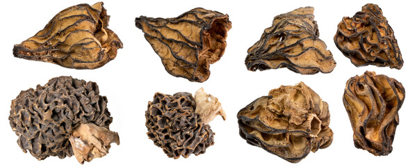 Macro shot of various different dried morel mushrooms