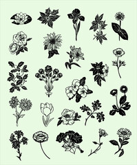 Set of vector flowers