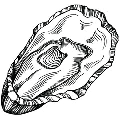 Oysters vector with engraving style illustration of logo or emblem for design seafood menu, lunch. Classic American steakhouse or French bistro appetizer.