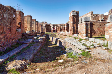 Suggestive street view in ancient Roman village with ruins and remains of palaces and ancient luxurious shops with typical architecture and bricks walls