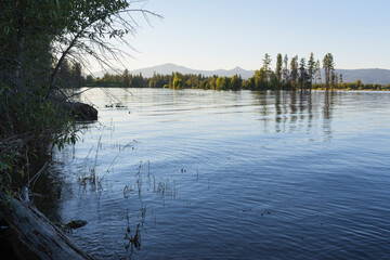 reflection of trees in the lake