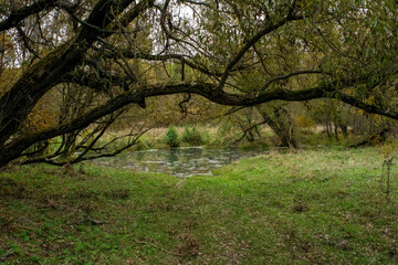 landscape on a cloudy autumn day