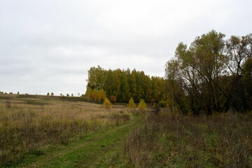 Fototapeta na wymiar landscape on a cloudy autumn day