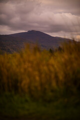Polish mountains of bieszczade. A quiet place to relax 