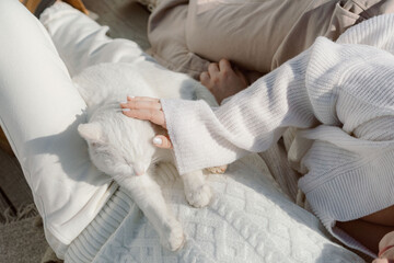 Obraz na płótnie Canvas A girl in a white sweater stroking a white cat